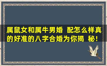 属鼠女和属牛男婚  配怎么样真的好准的八字合婚为你揭  秘！